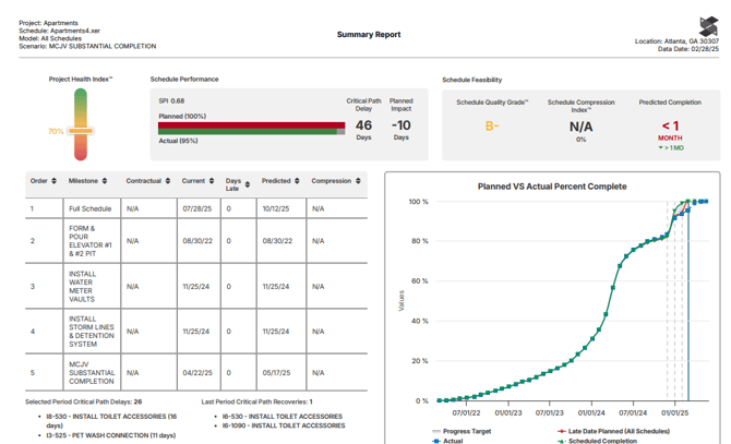 project summary report
